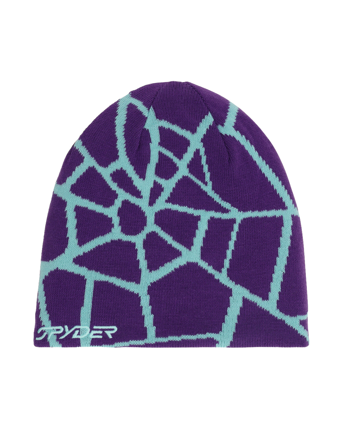 Men's Reversible Web Beanie
